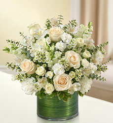 Cherished Memories - White Davenport Florist - Same Day Flower Delivery - Flower Power 